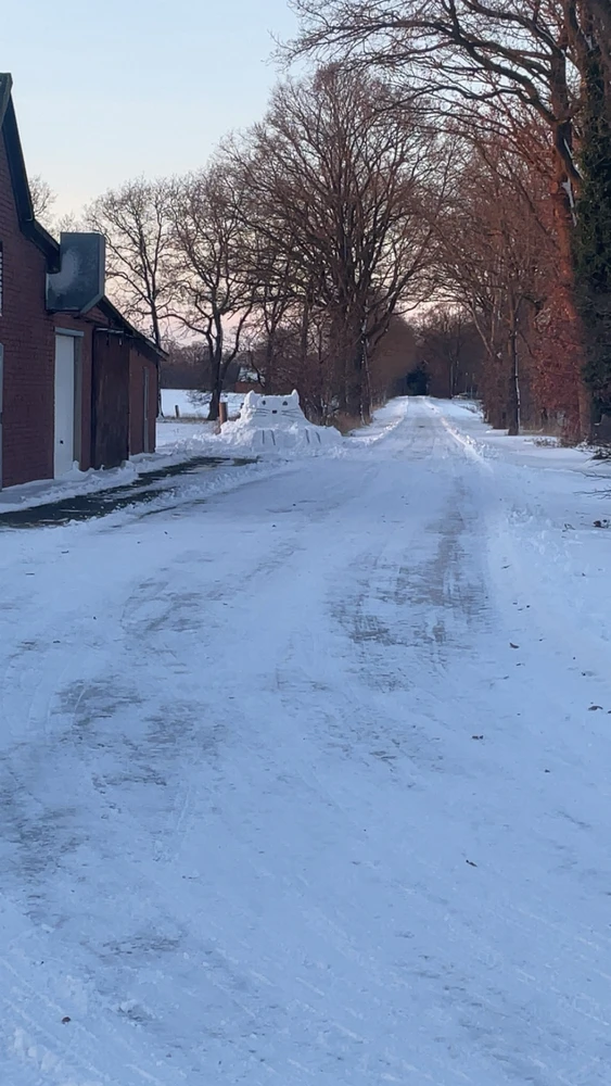 Bild hochgeladen von Dominik