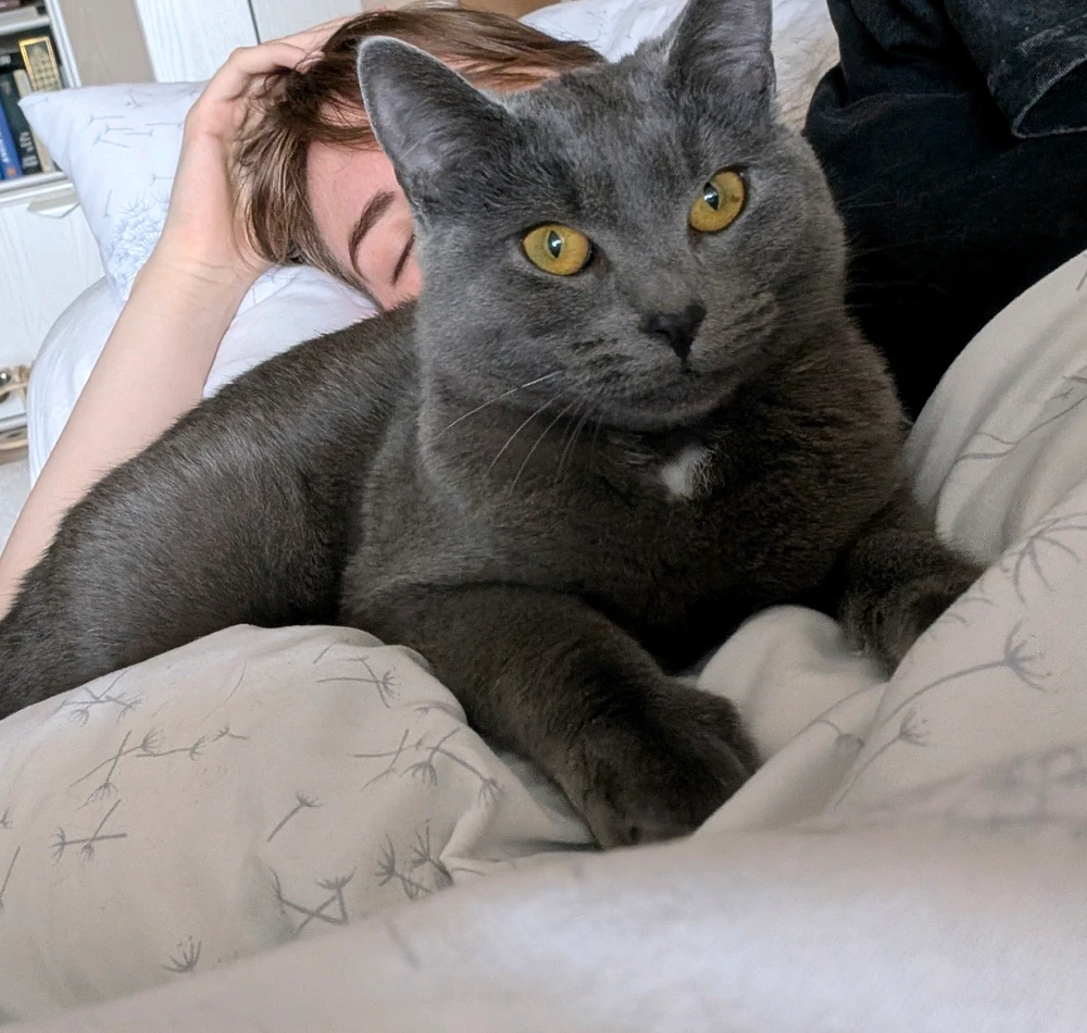 GIF uploaded by Danguole