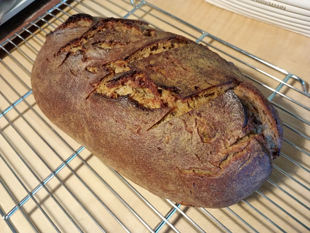 Image uploaded by Nicki