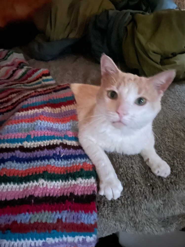 Image uploaded by ROO