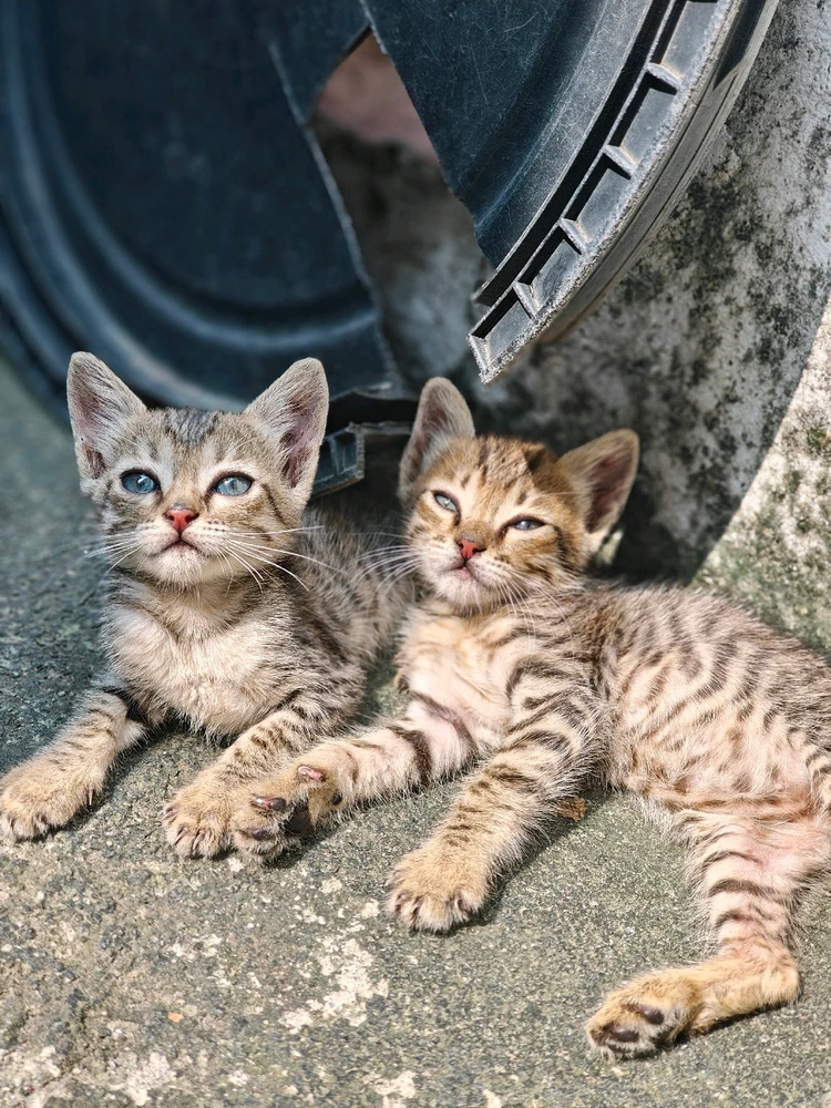 GIF uploaded by Abishek