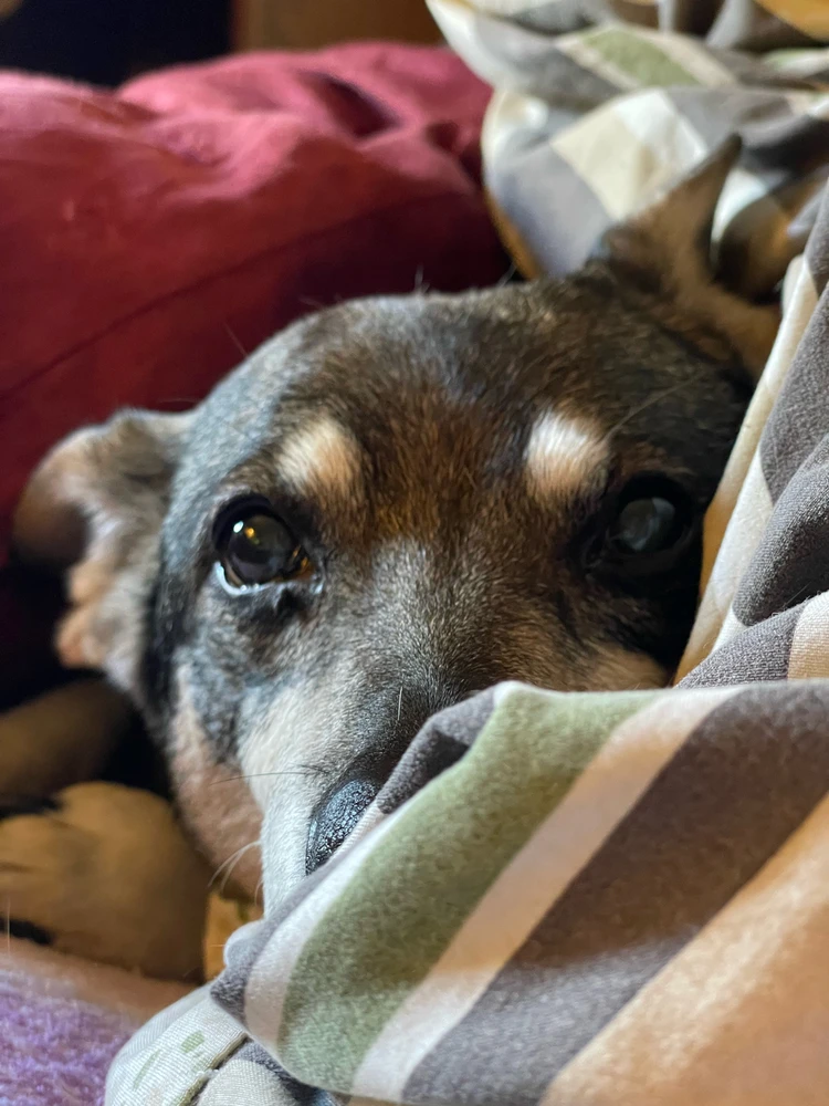 Image uploaded by ROO