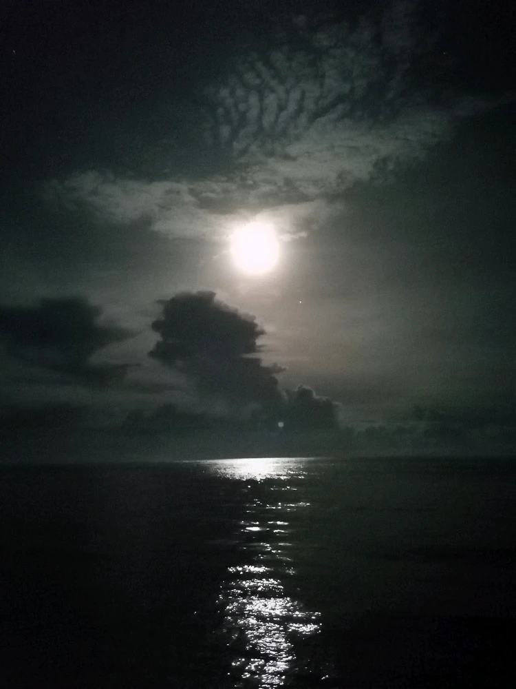 GIF uploaded by JERS