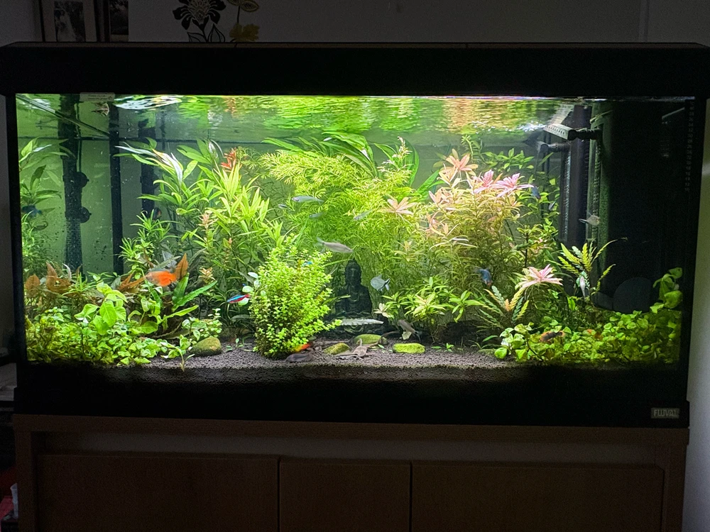 Image uploaded by Robert