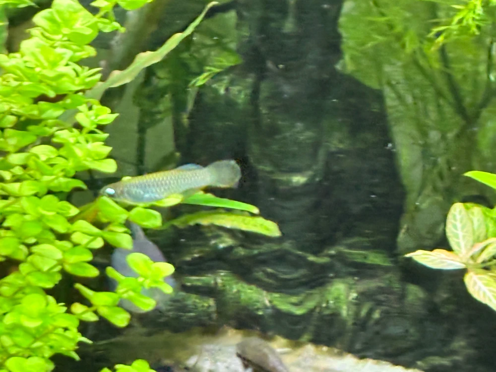 Image uploaded by Robert