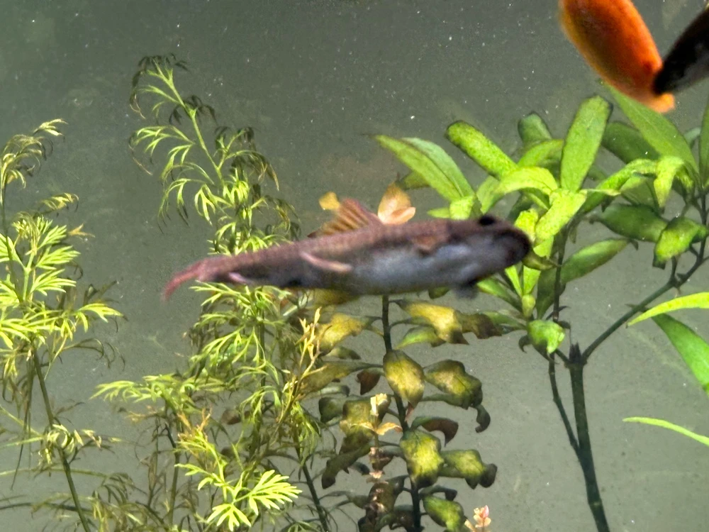 Image uploaded by Robert