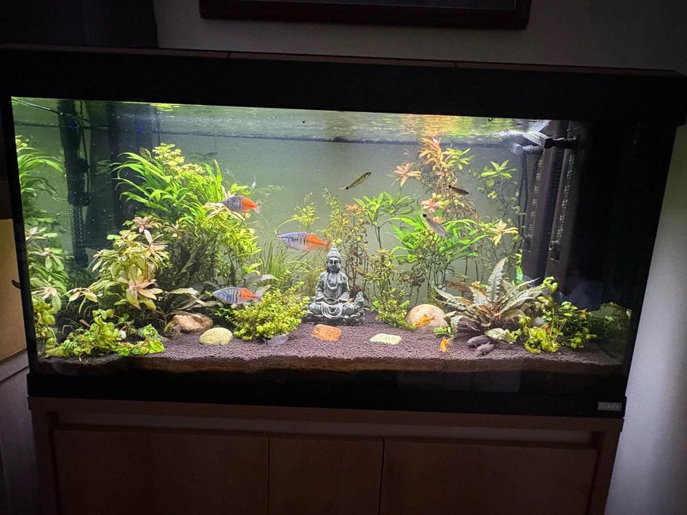 Image uploaded by Robert