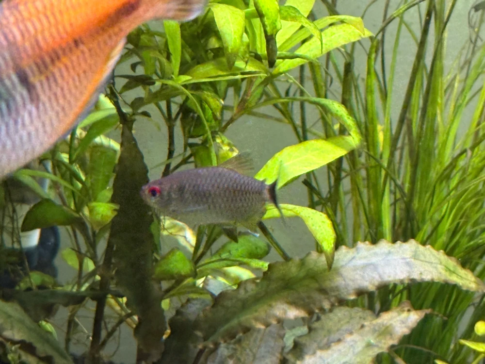 Image uploaded by Robert