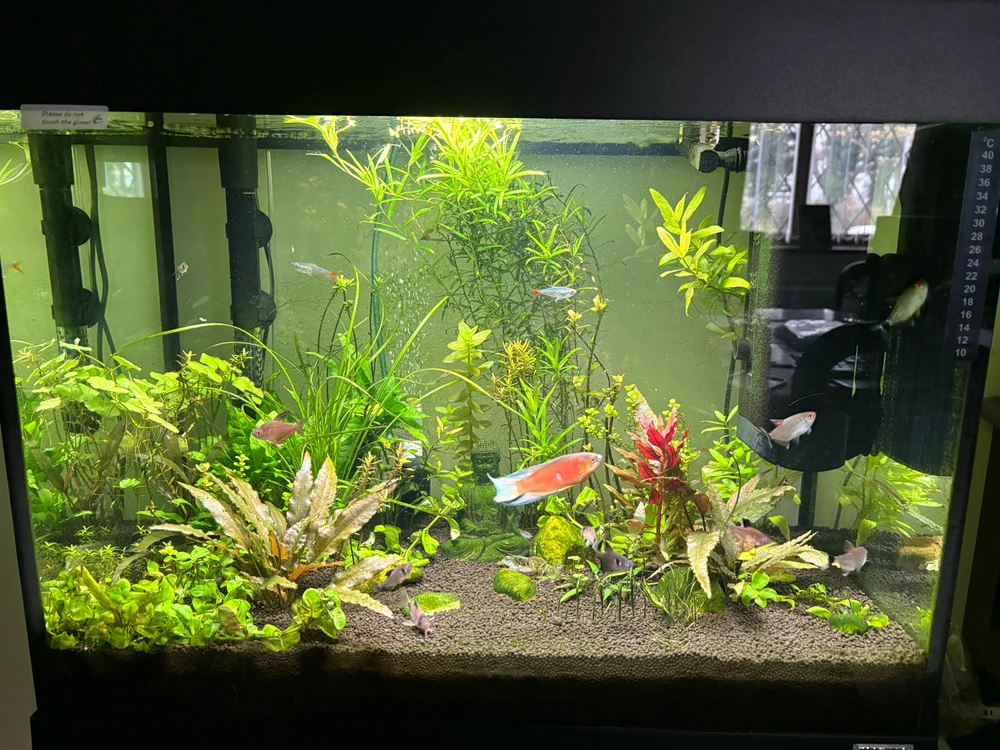 Image uploaded by Robert