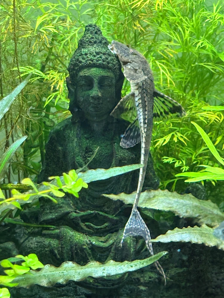 Image uploaded by Robert