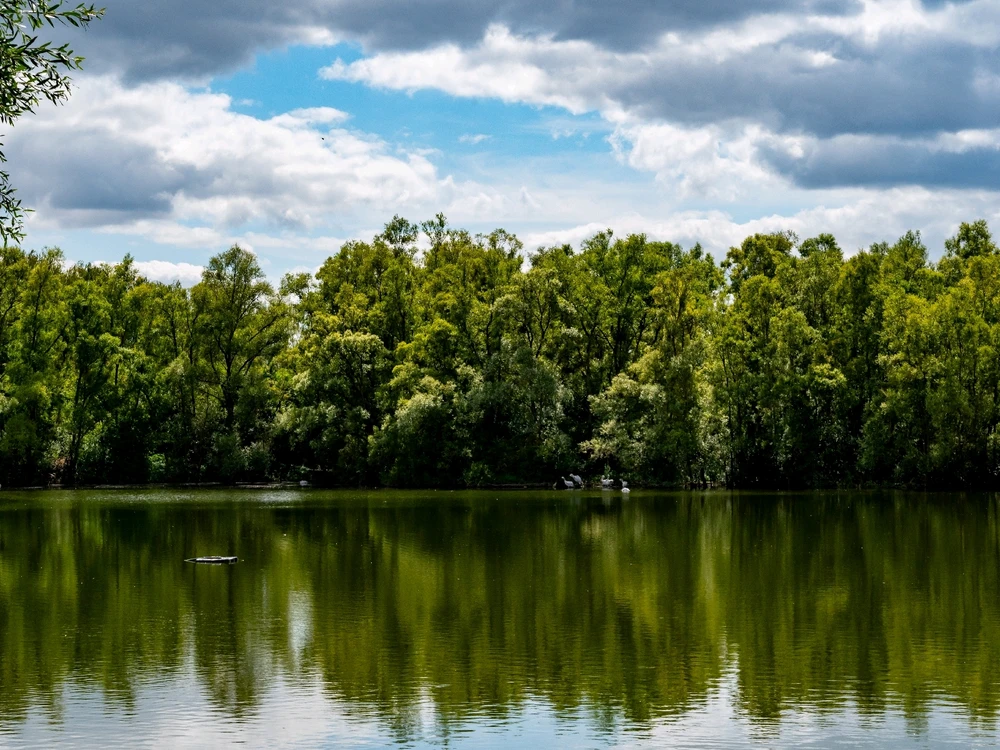 GIF ajouté par Playerone76