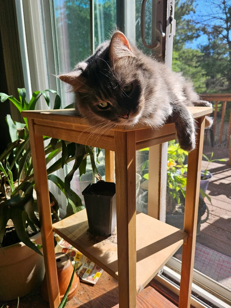 GIF uploaded by Nina