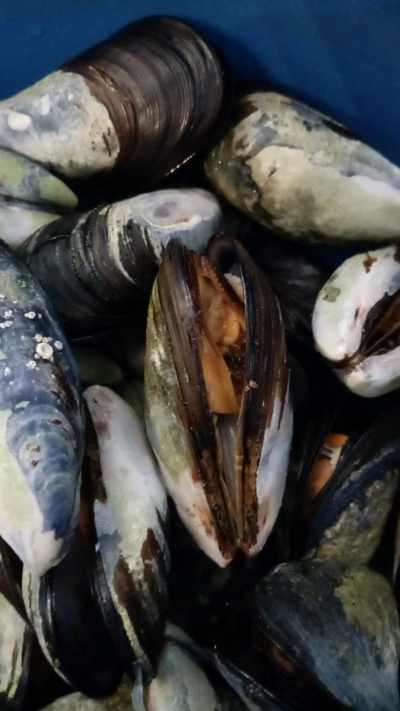 Image uploaded by Duan