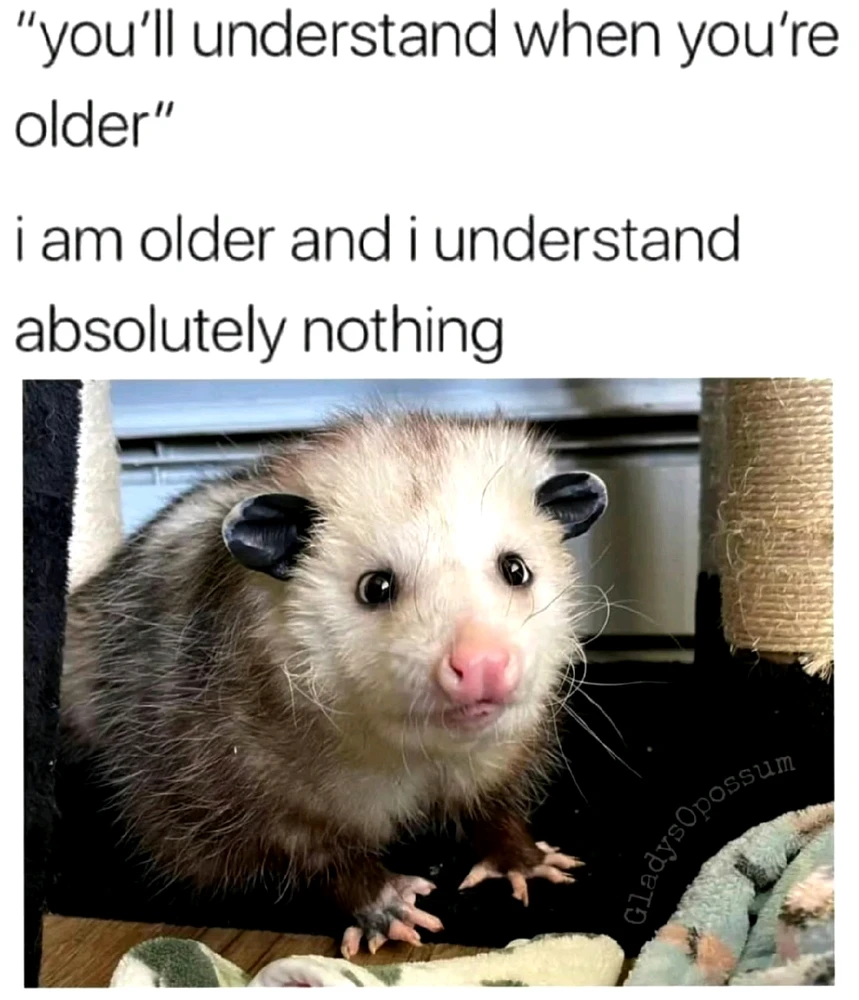 GIF hochgeladen von đđđ€đ€đđđ