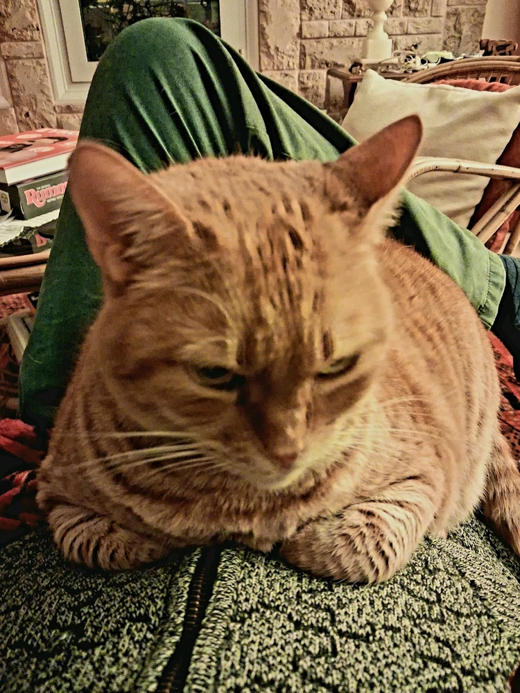 GIF uploaded by Michalis