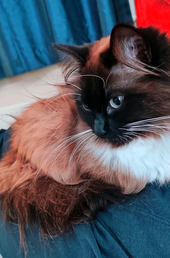 Image uploaded by Andy