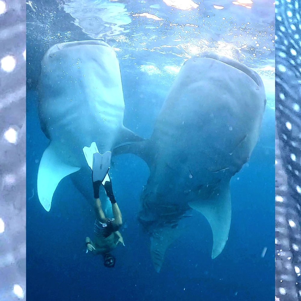 Image uploaded by Taylor