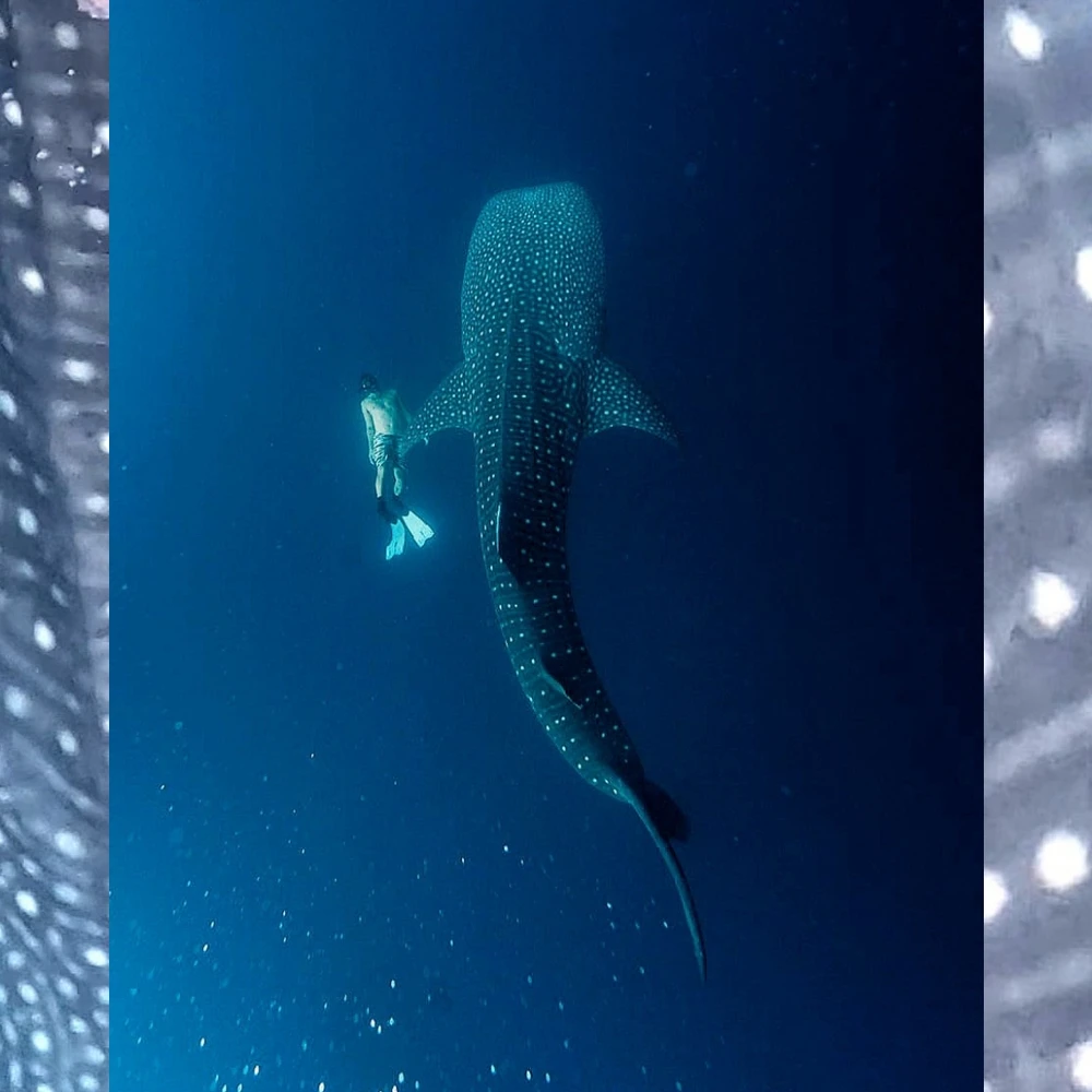 Image uploaded by Taylor