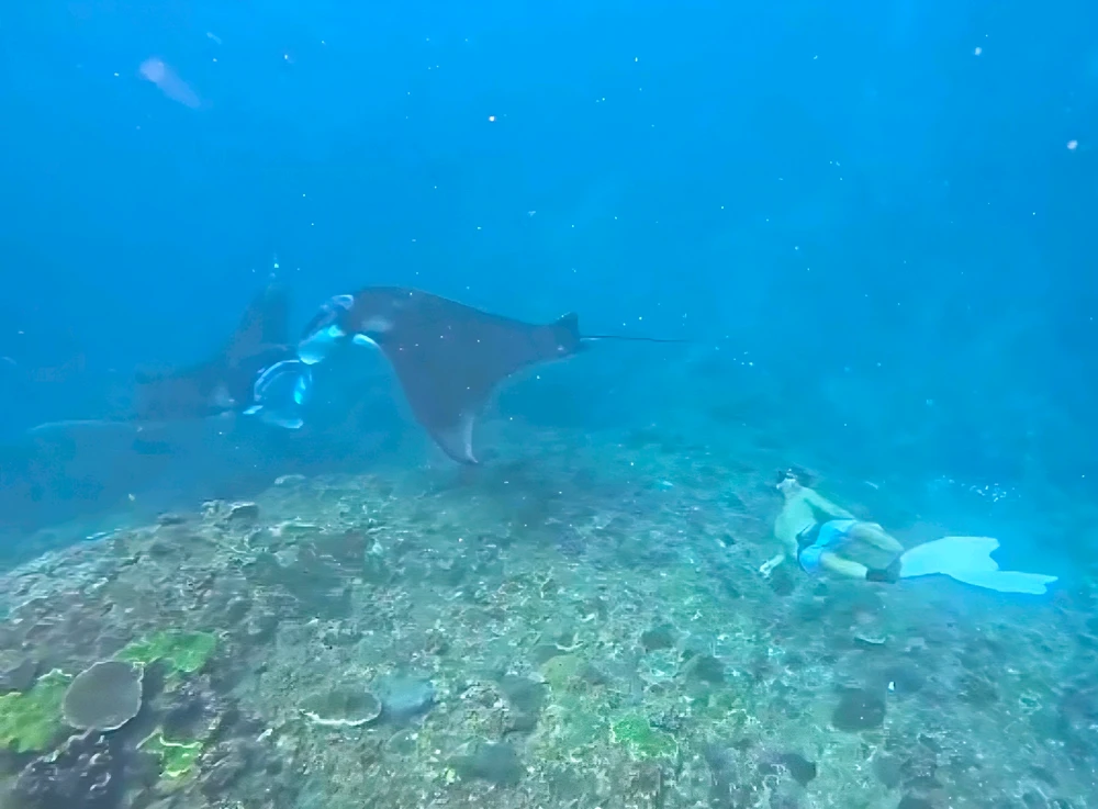 Image uploaded by Taylor