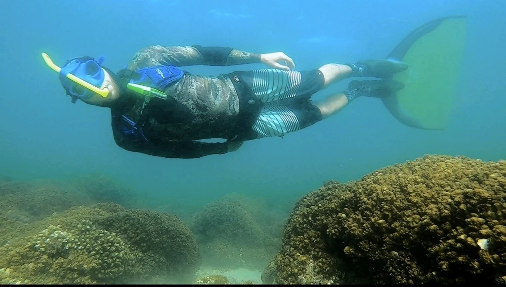 Image uploaded by Taylor