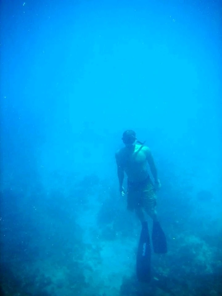 Image uploaded by Taylor