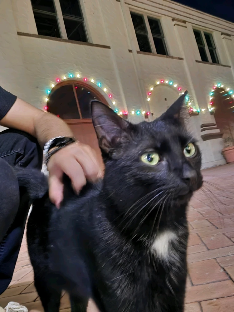 GIF uploaded by Luis Vazquez