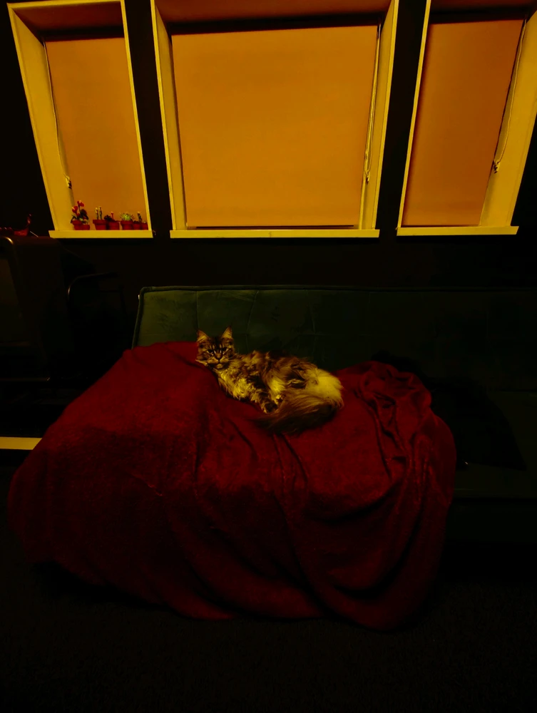 Image uploaded by Ben