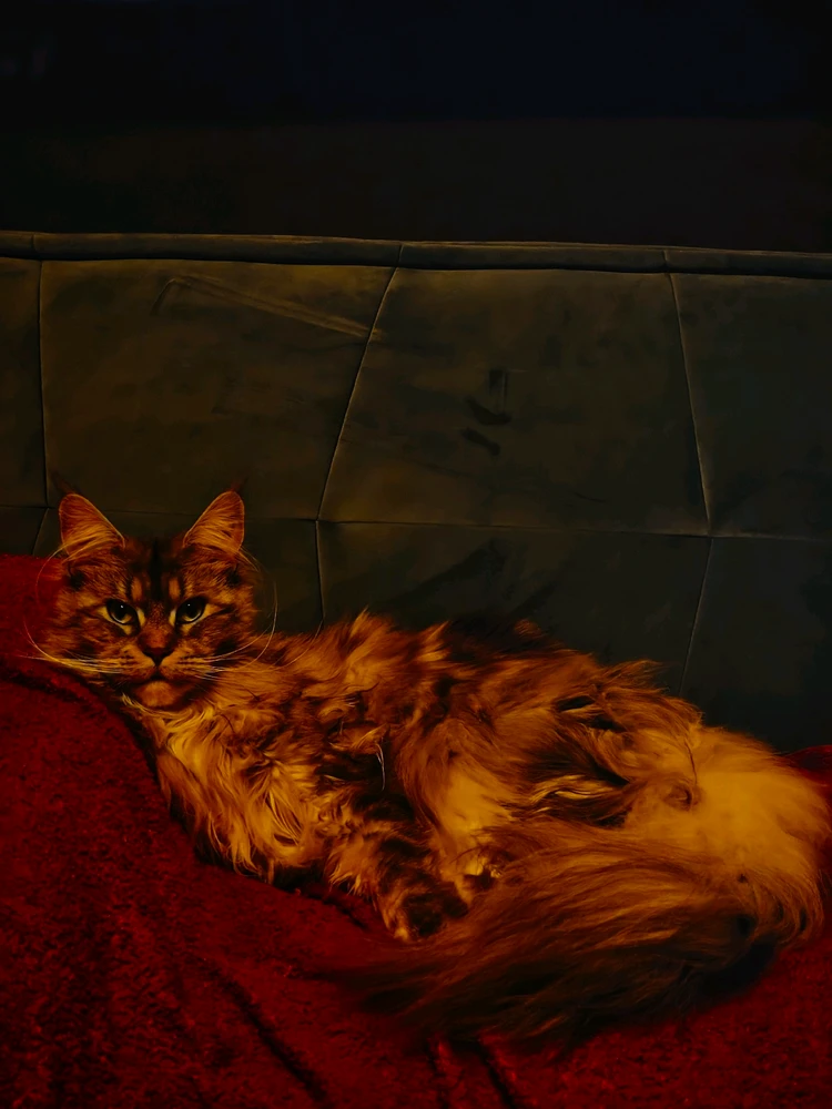 Image uploaded by Ben