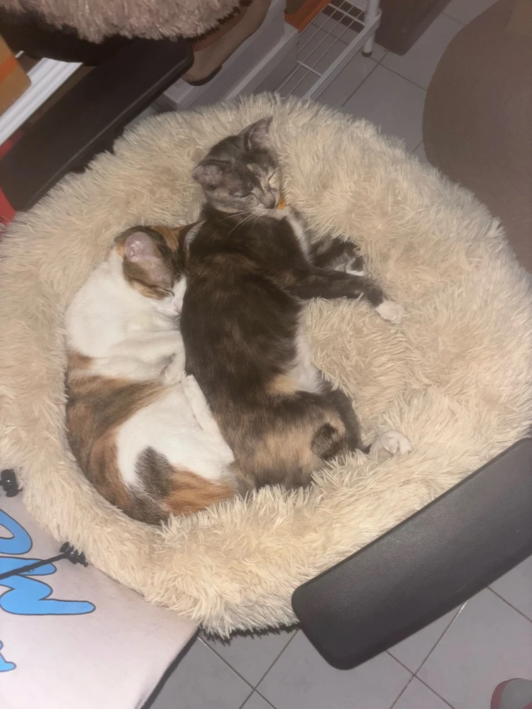 GIF uploaded by Pat♡