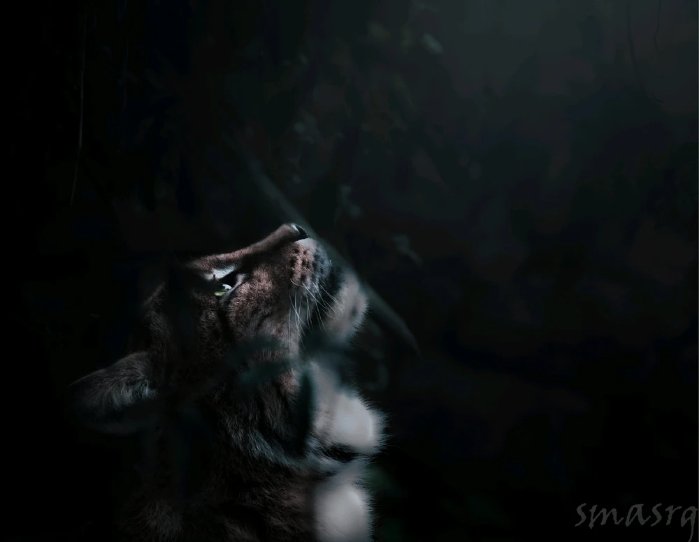 GIF uploaded by Sara