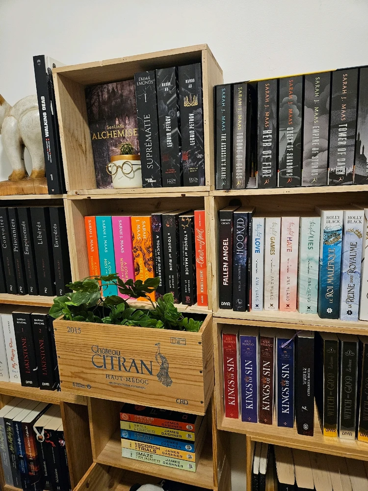 Image ajoutée par Méghane