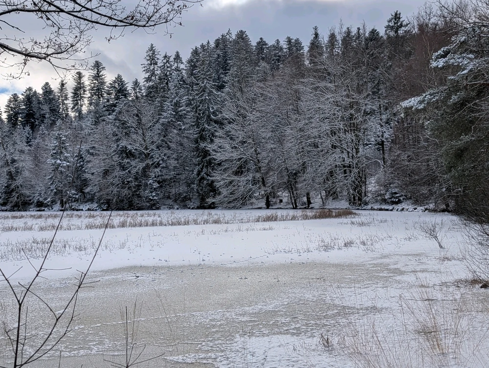 GIF ajouté par Nicolas
