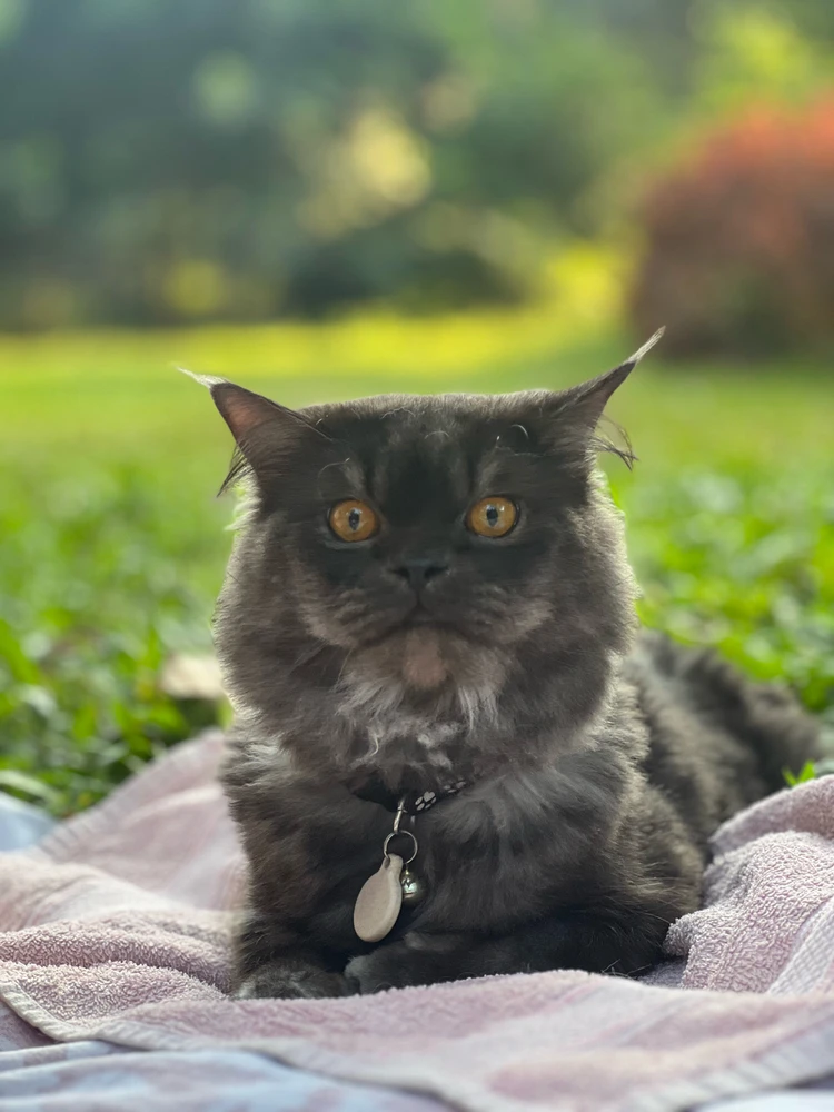 GIF uploaded by Najeem Arshad