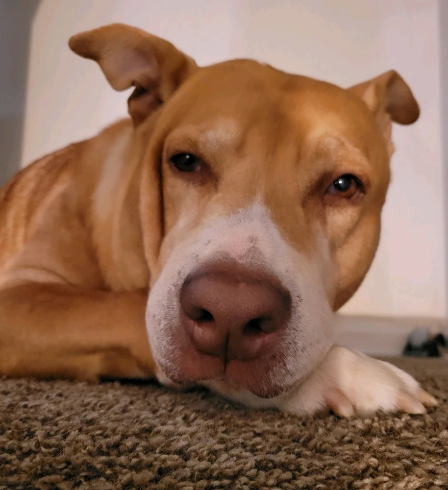 GIF uploaded by Nina