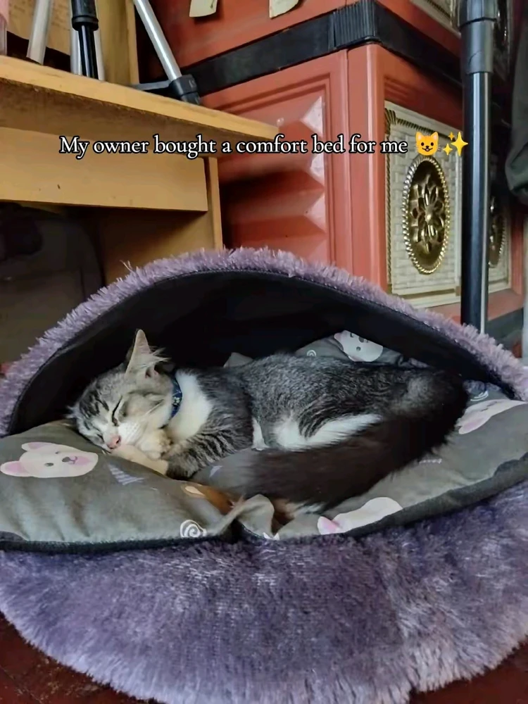 Image uploaded by Raha Ammar