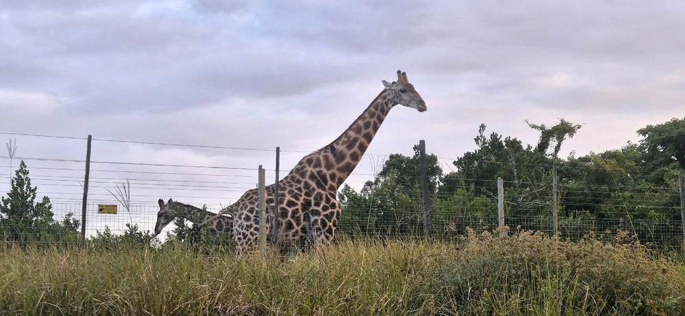 GIF uploaded by Sandz