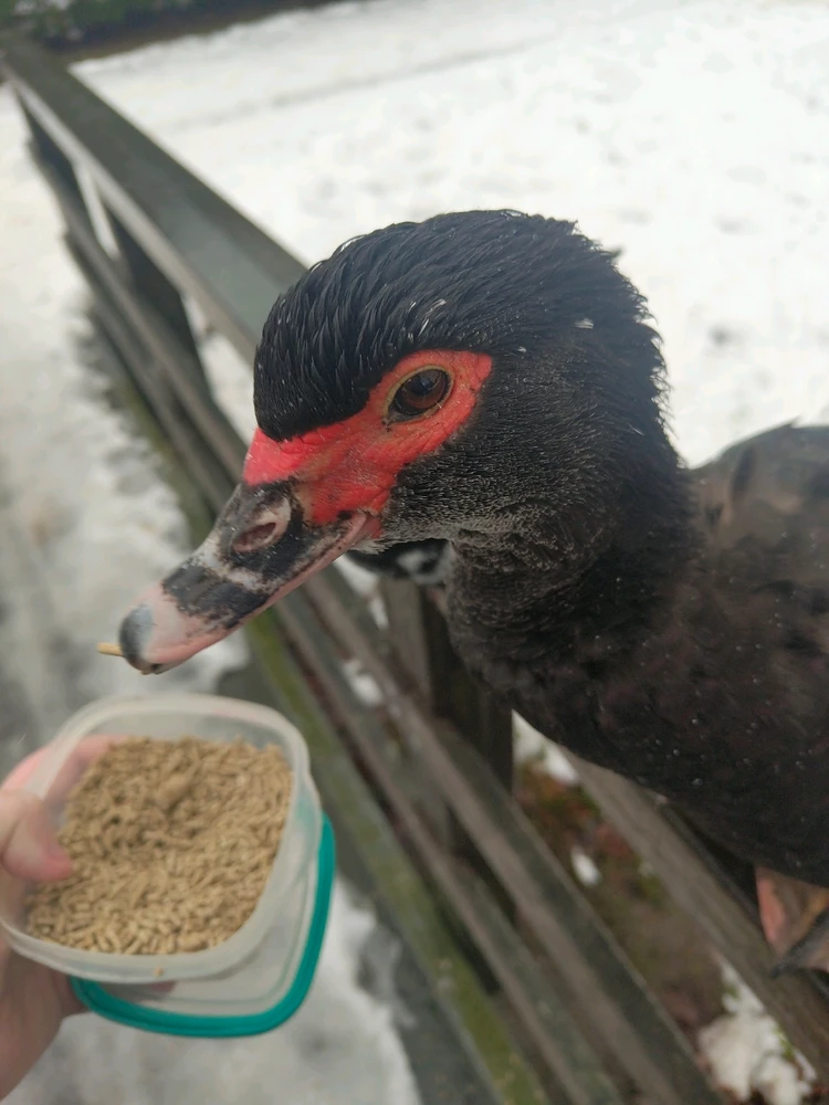 Image uploaded by Martijn