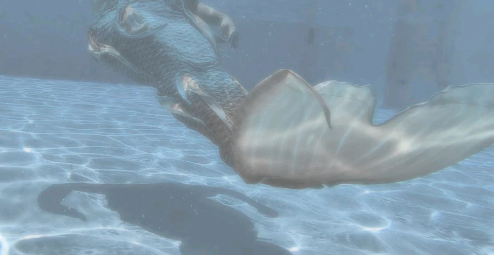 GIF subido por SIREN