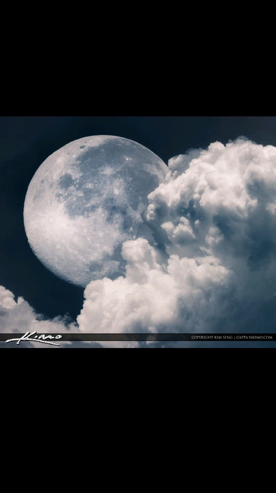 Image uploaded by LunarPulse