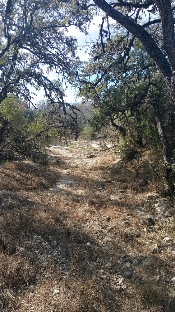 Image uploaded by Nathan Guzman