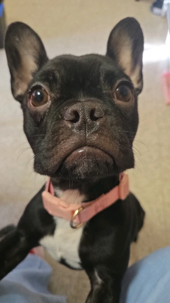 Image uploaded by Karol