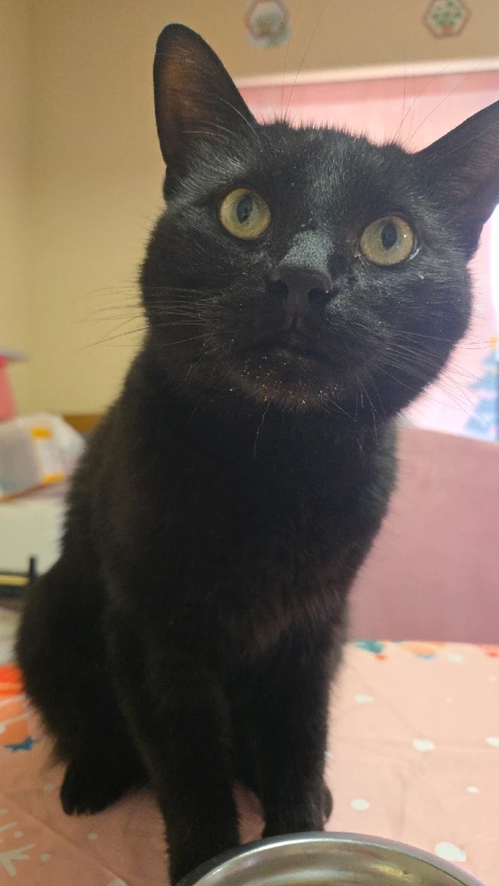 Image uploaded by Karol