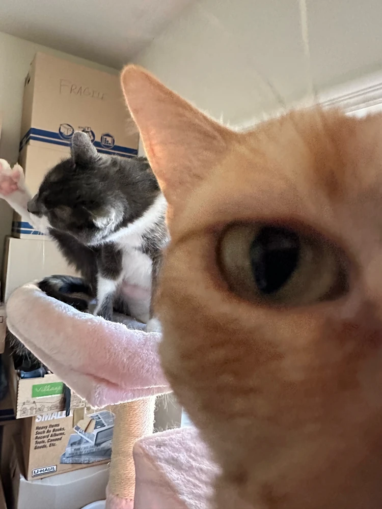 GIF uploaded by Light