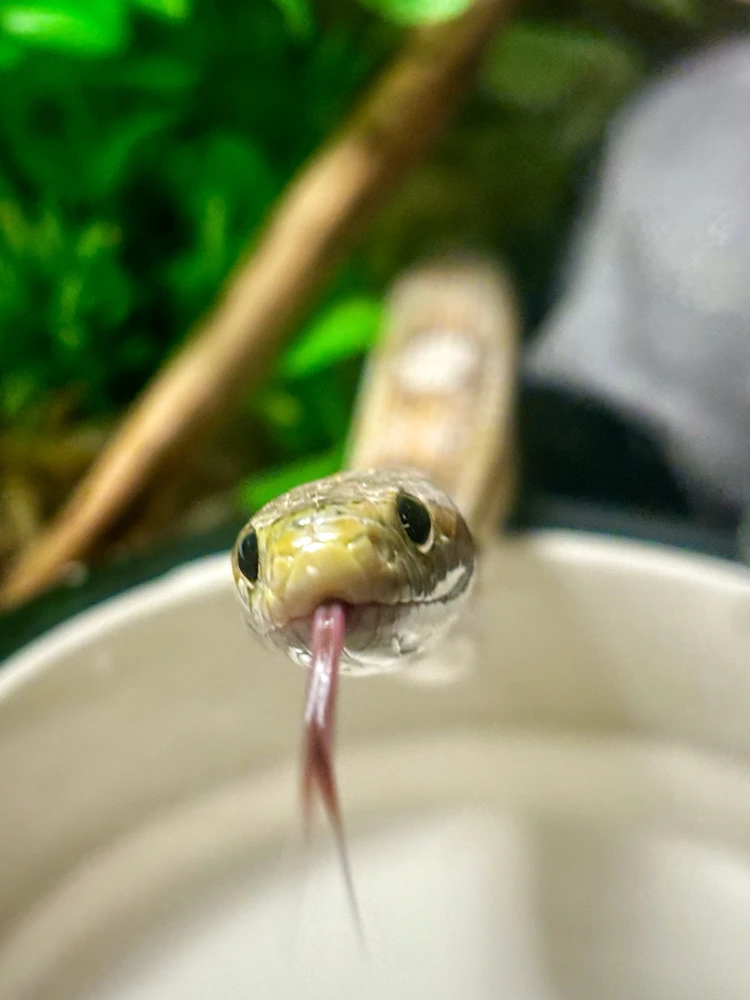 GIF diunggah dening Lin