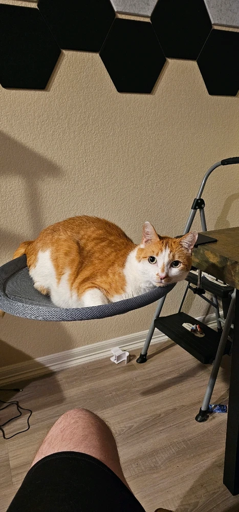 GIF uploaded by Weston