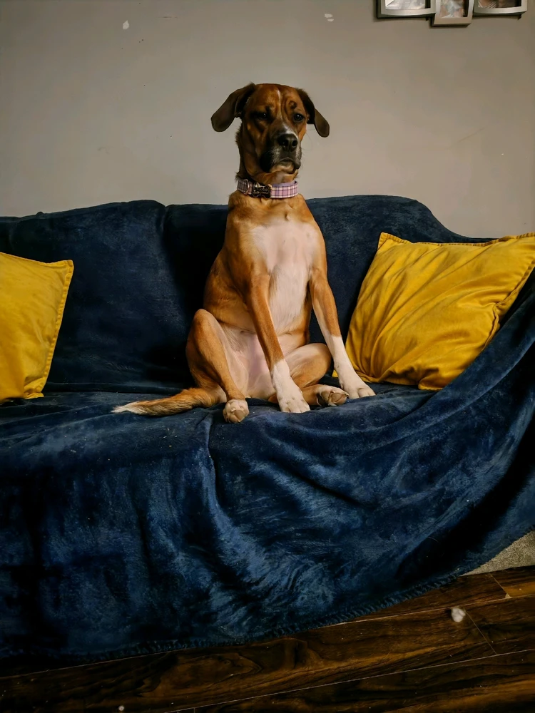 GIF uploaded by Linda