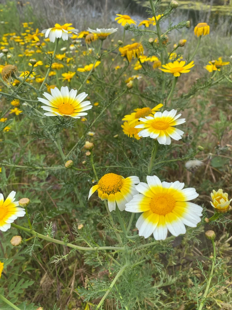 GIF diunggah dening Kayla