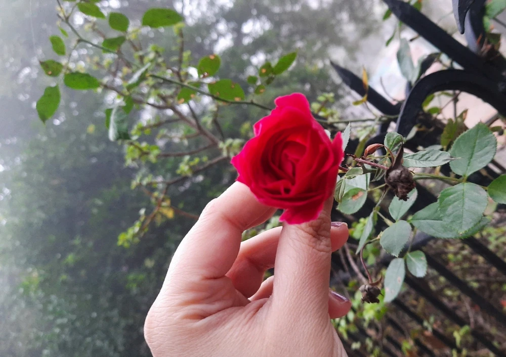 GIF diunggah dening Ruchi Sehgal