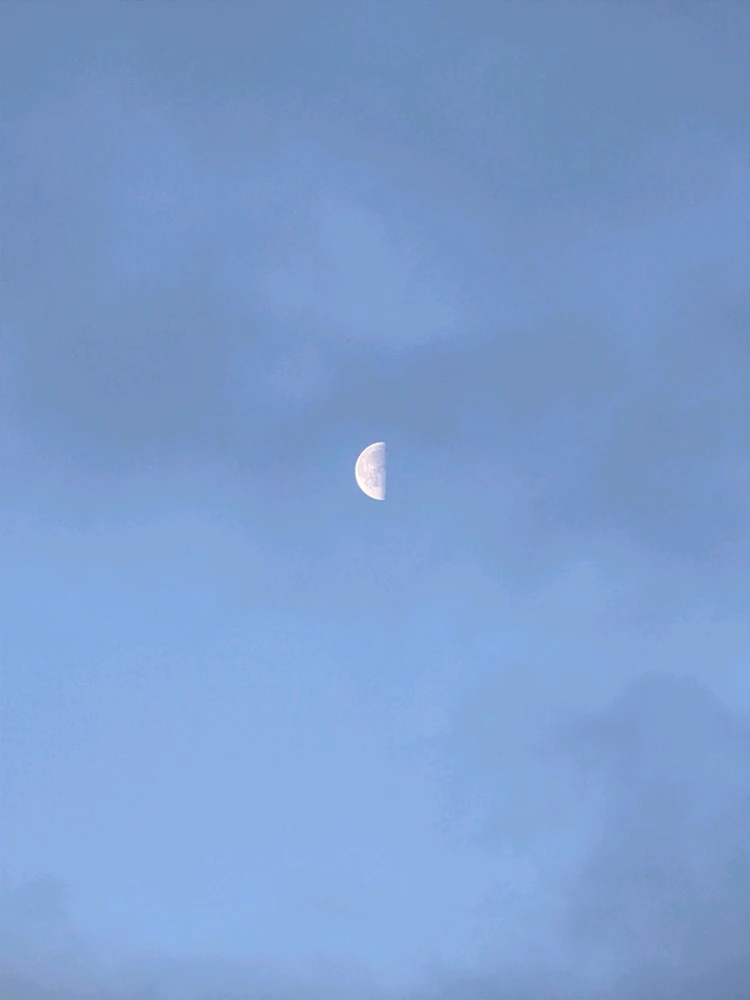 Image uploaded by A༗