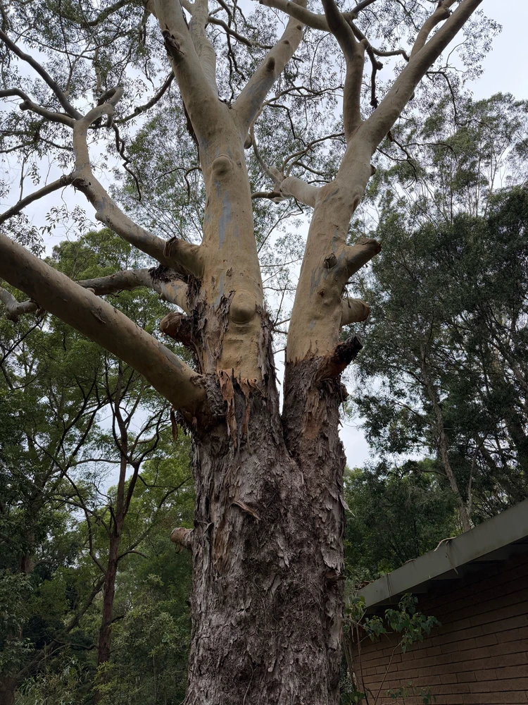 Image uploaded by Ovi